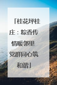 桂花坪桂庄：粽香传情暖邻里 党群同心筑和谐