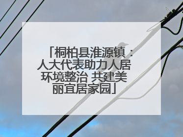 桐柏县淮源镇：人大代表助力人居环境整治 共建美丽宜居家园