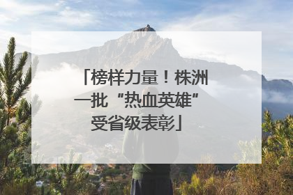 榜样力量！株洲一批“热血英雄”受省级表彰