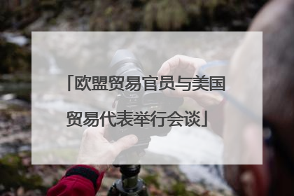 欧盟贸易官员与美国贸易代表举行会谈