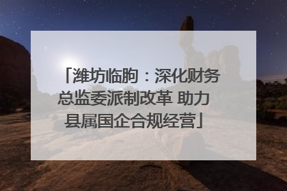 潍坊临朐：深化财务总监委派制改革 助力县属国企合规经营