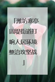 潍坊寒亭固堤街道打响人居环境整治攻坚战
