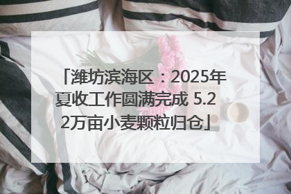潍坊滨海区：2025年夏收工作圆满完成 5.22万亩小麦颗粒归仓
