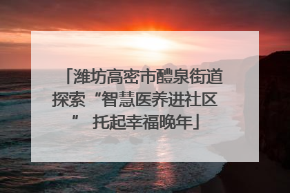 潍坊高密市醴泉街道探索“智慧医养进社区” 托起幸福晚年