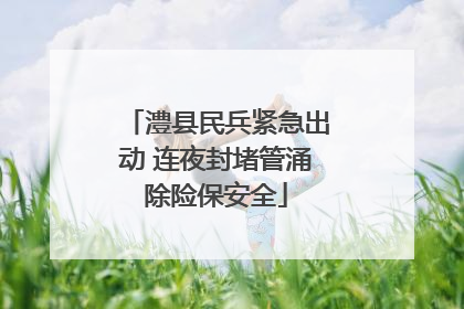 澧县民兵紧急出动 连夜封堵管涌除险保安全