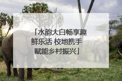 水韵大白畅享趣鲜乐活 校地携手赋能乡村振兴