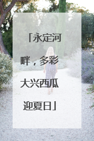 永定河畔，多彩大兴西瓜迎夏日