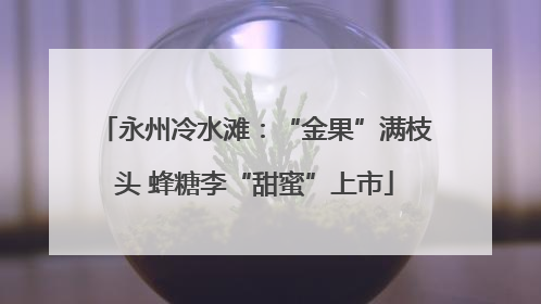 永州冷水滩：“金果”满枝头 蜂糖李“甜蜜”上市