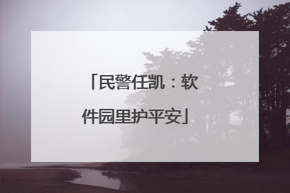 民警任凯：软件园里护平安