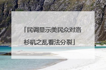 民调显示美民众对洛杉矶之乱看法分裂