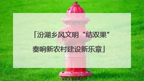 汾湖乡风文明“结双果” 奏响新农村建设新乐章