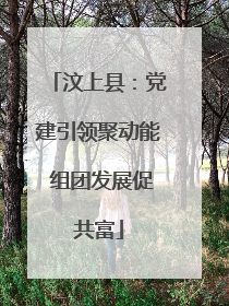 汶上县：党建引领聚动能 组团发展促共富