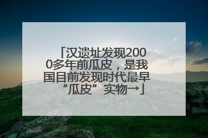 汉遗址发现2000多年前瓜皮，是我国目前发现时代最早“瓜皮”实物→