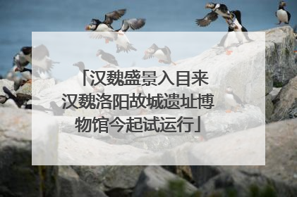 汉魏盛景入目来 汉魏洛阳故城遗址博物馆今起试运行