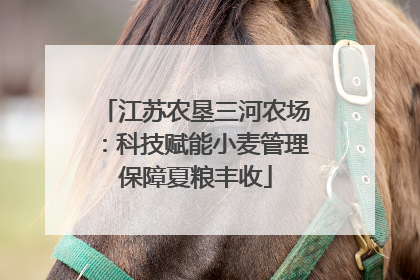 江苏农垦三河农场：科技赋能小麦管理保障夏粮丰收