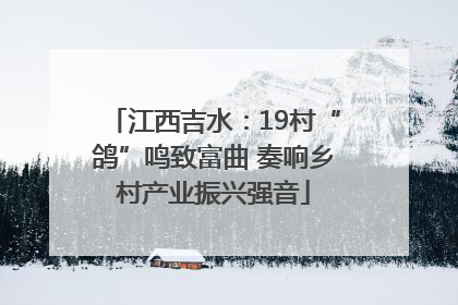 江西吉水：19村“鸽”鸣致富曲 奏响乡村产业振兴强音