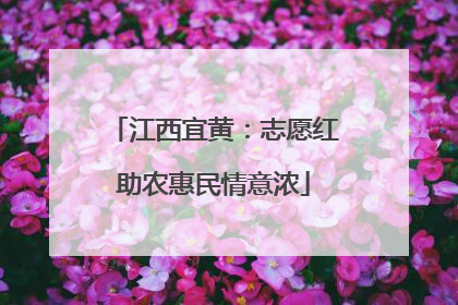 江西宜黄：志愿红助农惠民情意浓
