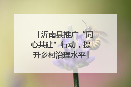 沂南县推广“同心共建”行动，提升乡村治理水平