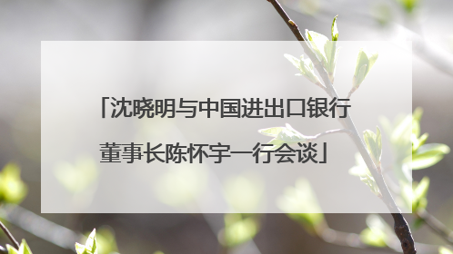 沈晓明与中国进出口银行董事长陈怀宇一行会谈