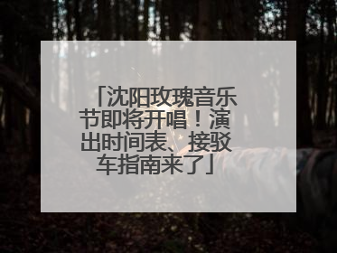沈阳玫瑰音乐节即将开唱！演出时间表、接驳车指南来了
