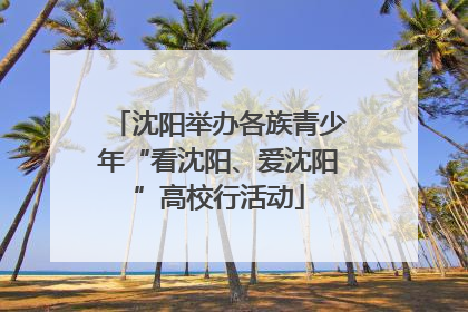 沈阳举办各族青少年“看沈阳、爱沈阳”高校行活动