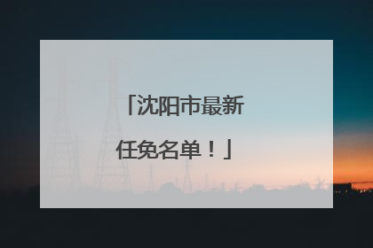 沈阳市最新任免名单！