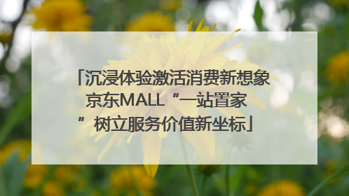 沉浸体验激活消费新想象 京东MALL“一站置家”树立服务价值新坐标