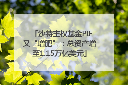 沙特主权基金PIF又“增肥”：总资产增至1.15万亿美元