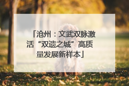 沧州：文武双脉激活“双遗之城”高质量发展新样本