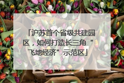 沪苏首个省级共建园区，如何打造长三角“飞地经济”示范区