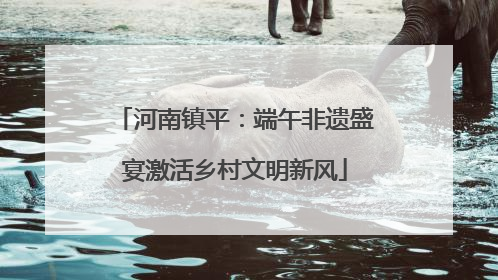 河南镇平：端午非遗盛宴激活乡村文明新风