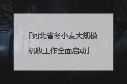 河北省冬小麦大规模机收工作全面启动