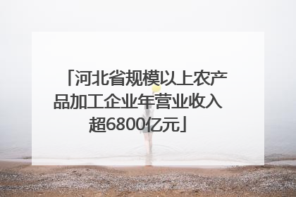 河北省规模以上农产品加工企业年营业收入超6800亿元