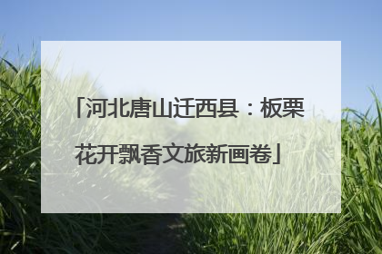 河北唐山迁西县：板栗花开飘香文旅新画卷