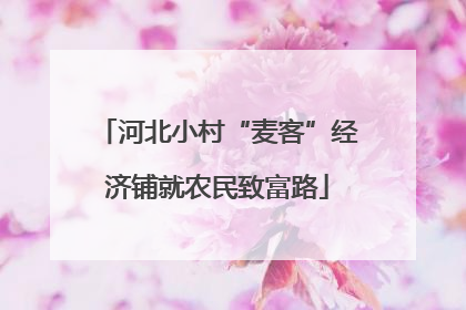 河北小村“麦客”经济铺就农民致富路