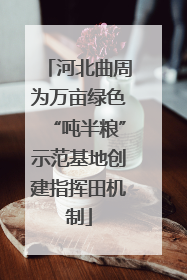 河北曲周为万亩绿色“吨半粮”示范基地创建指挥田机制