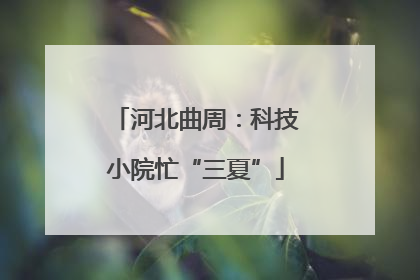 河北曲周：科技小院忙“三夏”