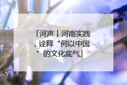 河声丨河南实践，诠释“何以中国”的文化底气