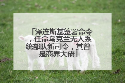 泽连斯基签署命令，任命乌克兰无人系统部队新司令，其曾是商界大佬