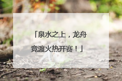 泉水之上，龙舟竞渡火热开赛！