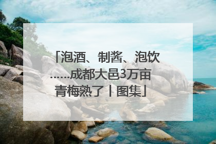 泡酒、制酱、泡饮……成都大邑3万亩青梅熟了丨图集