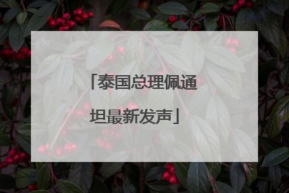 泰国总理佩通坦最新发声