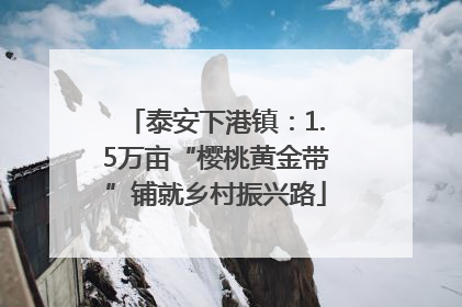 泰安下港镇：1.5万亩“樱桃黄金带”铺就乡村振兴路