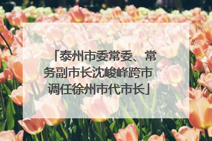 泰州市委常委、常务副市长沈峻峰跨市调任徐州市代市长