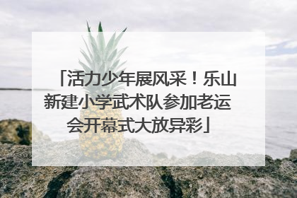 活力少年展风采！乐山新建小学武术队参加老运会开幕式大放异彩