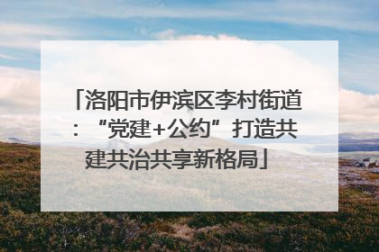 洛阳市伊滨区李村街道：“党建+公约”打造共建共治共享新格局