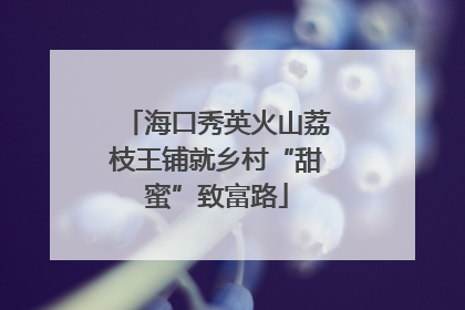 海口秀英火山荔枝王铺就乡村“甜蜜”致富路