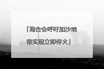 海合会呼吁加沙地带实现立即停火