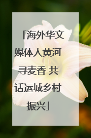 海外华文媒体人黄河寻麦香 共话运城乡村振兴