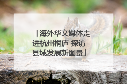 海外华文媒体走进杭州桐庐 探访县域发展新图景